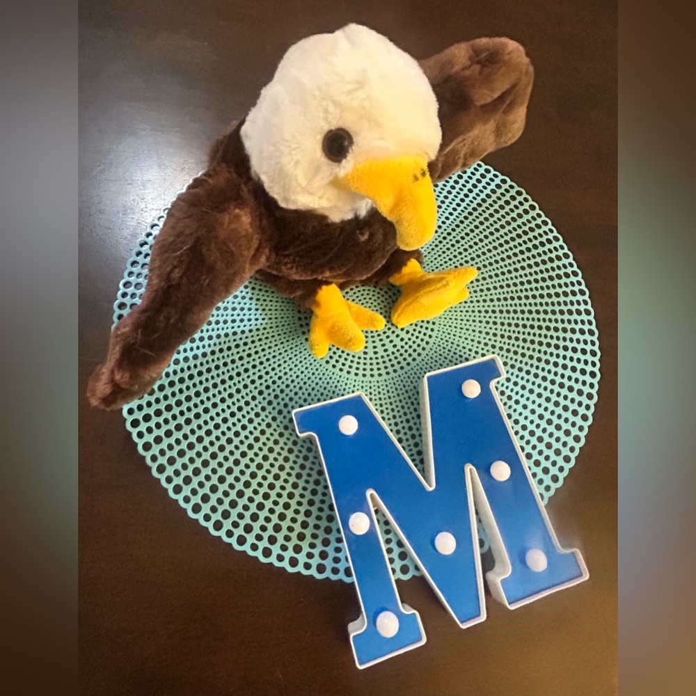 Wildlife Artists (10") Stuffed Bald Eagle Plush Toy Hand Puppet- Used